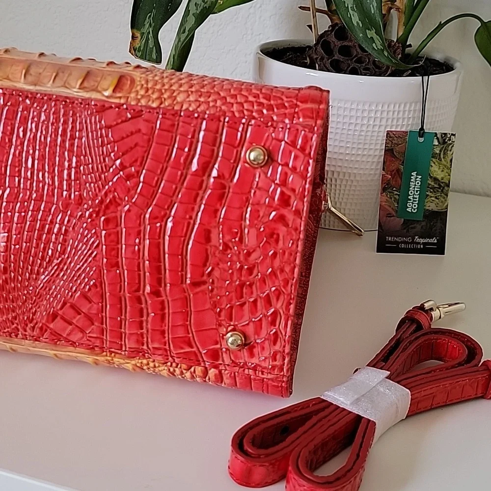 NWT🌺 Brahmin Small Caroline Infusion Ombre Melbourne Leather bag